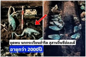 ขุดค้นพบ นกกระเรียนสำริดในสุสานบริวารของจิ๋นซีฮ่องเต้เเห่งราชวงศ์ฉิน อายุกว่า2000ปี ขุดค้นพบ นกกระเรียนสำริดในสุสานบริวารของจิ๋นซีฮ่องเต้เเห่งราชวงศ์ฉิน อายุกว่า2000ปี