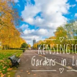 Kensington Gardens พื้นที่สงบใจกลางลอนดอน Kensington Gardens พื้นที่สงบใจกลางลอนดอน