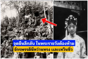 จุดยืน​ลึกลับหลังวังของ จักรพรรดิ​นีหว่านหรง ในพระราชวัง​ต้องห้าม