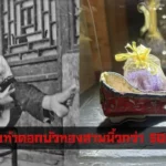 รองเท้าดอกบัวทองสามนิ้วกว่า 5000 คู่ ของ​สตรีที่รัดเท้า ​ทั่วประเทศ​จีนเเละไต้หวัน